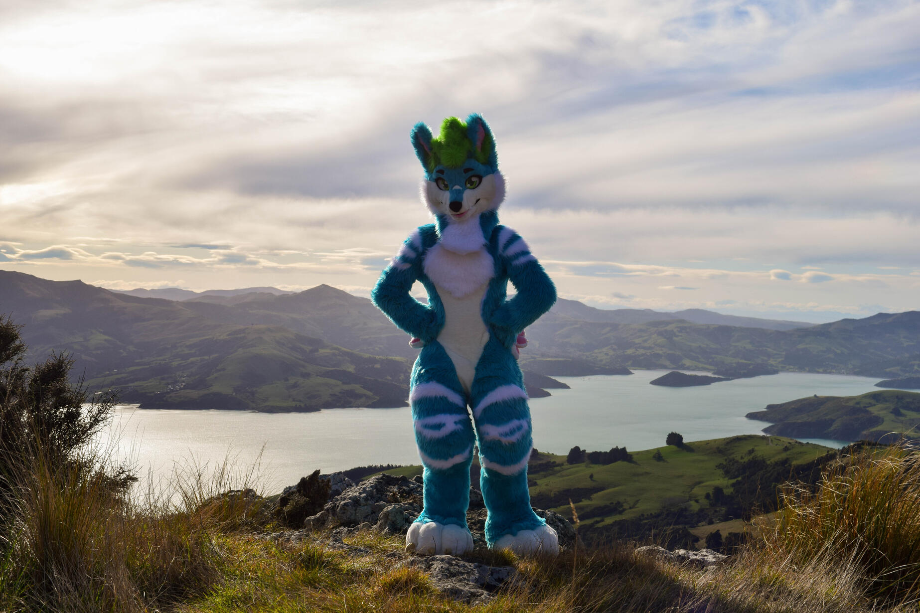 ๐ธ: Rocket. Akaroa
