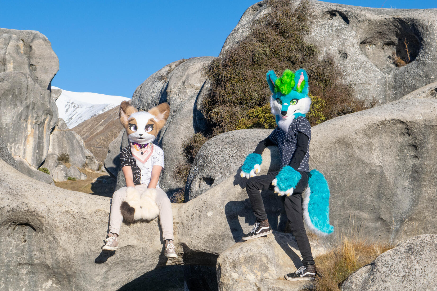๐ฆ: Alex and myself ๐ธ: Rocket. Akaroa