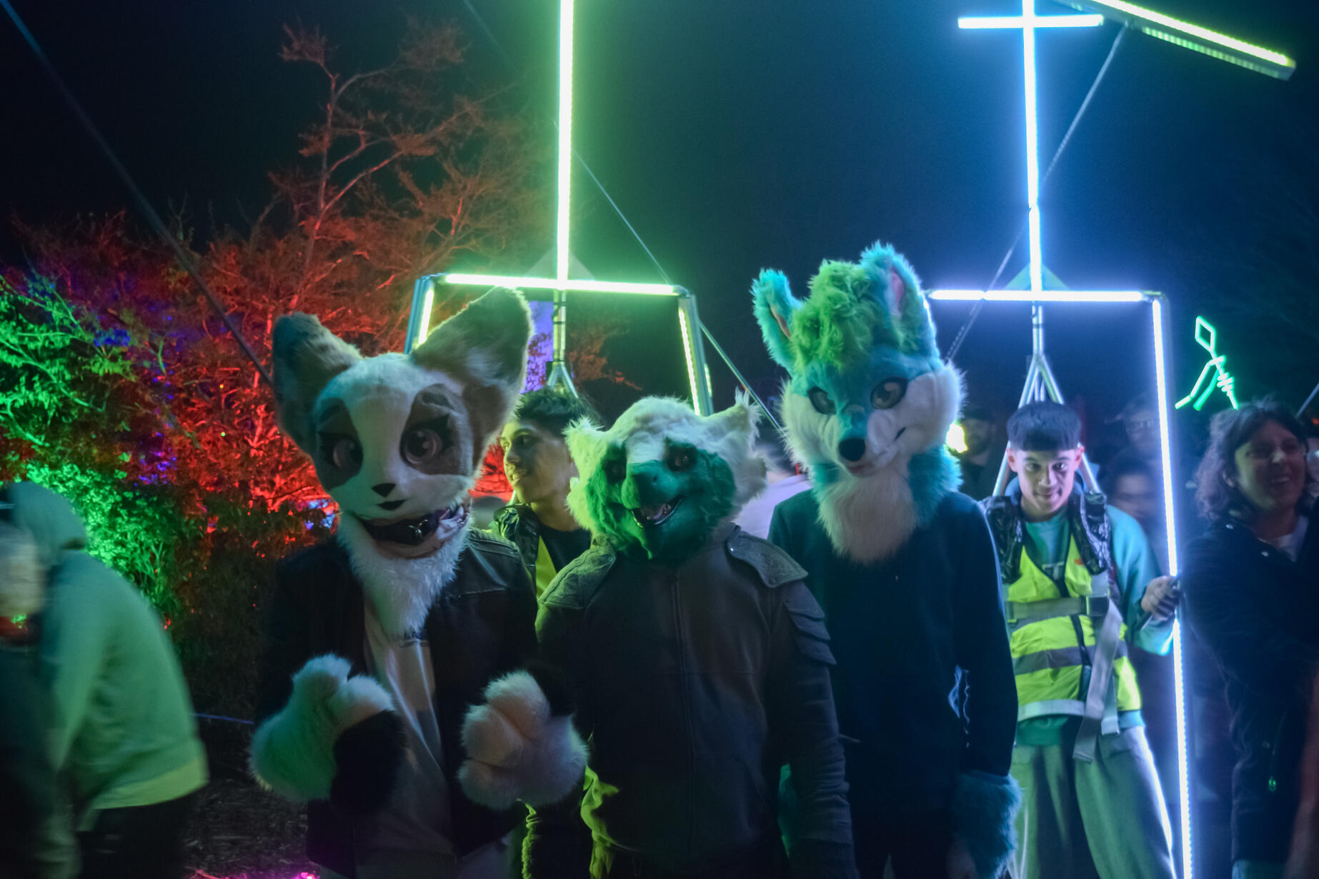 π¦: SawRex, Alex and myself πΈ: Rocket. Illumination 2024