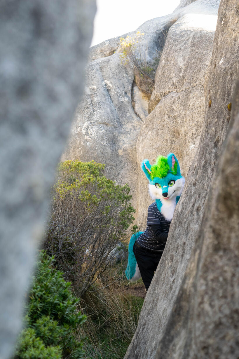 πΈ: Rocket. Akaroa