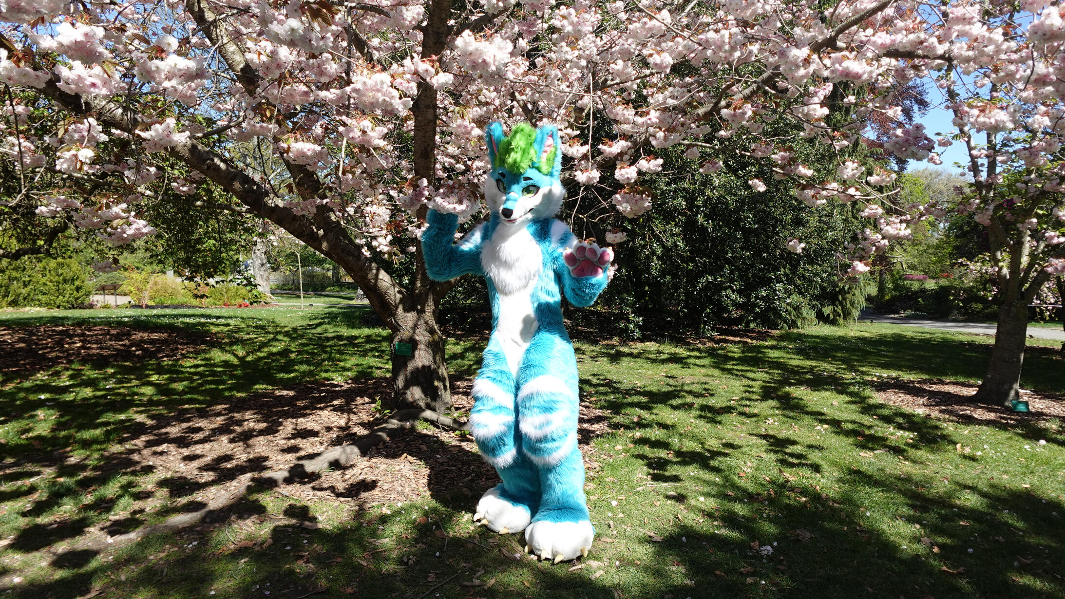 πΈ: Alex. Spring 2024