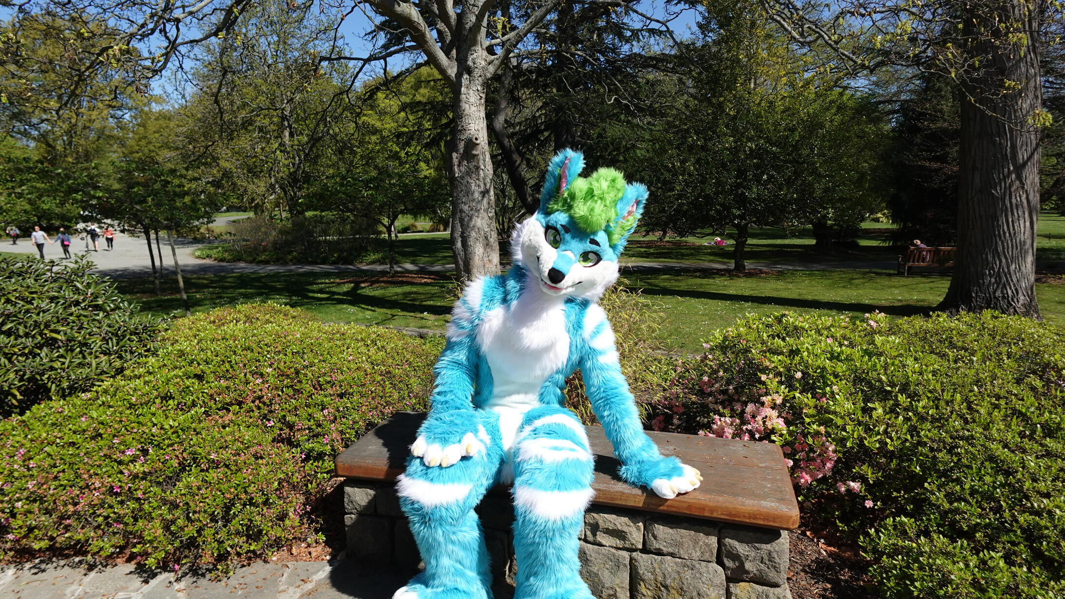 πΈ: Alex. Spring 2024