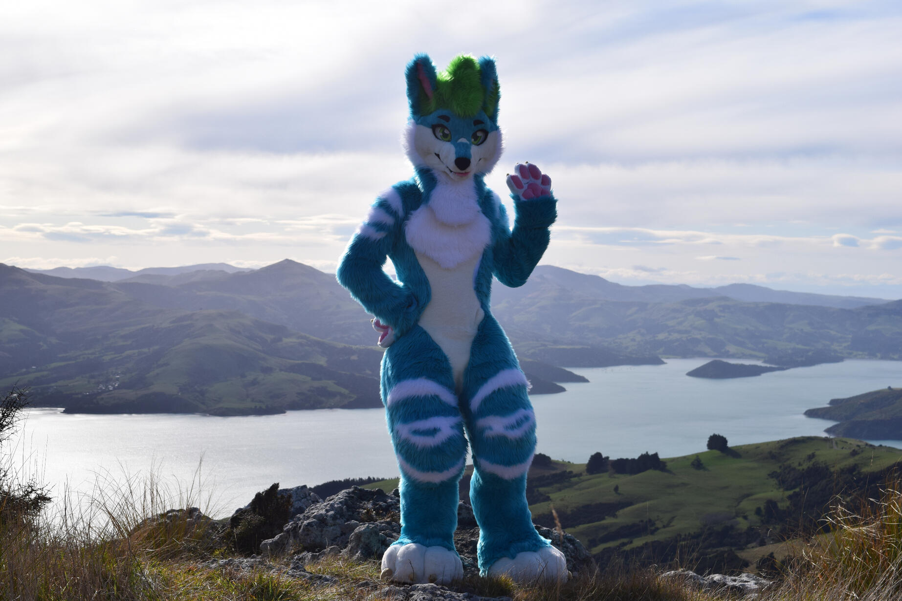 📸: Rocket. Akaroa