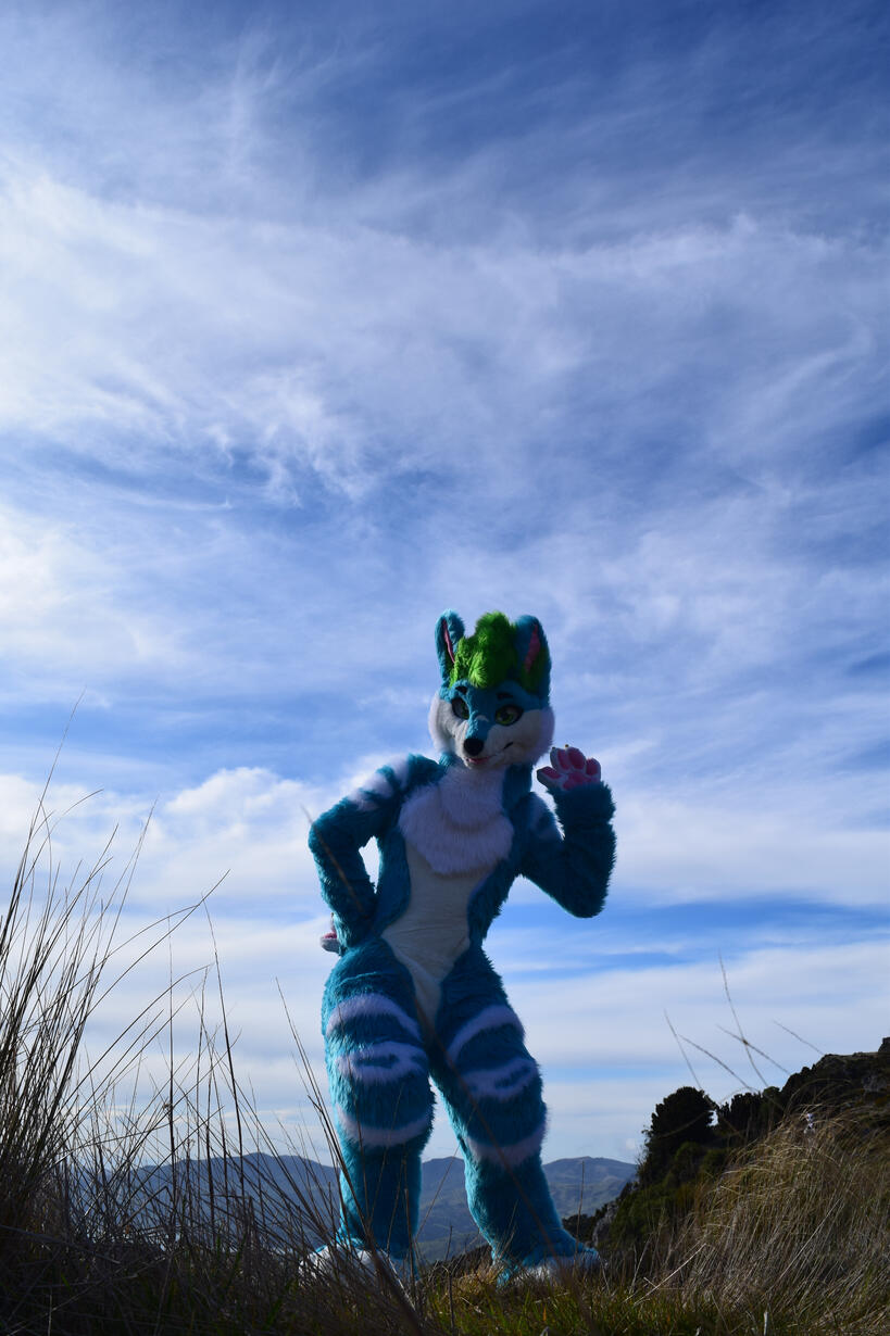 📸: Rocket. Akaroa