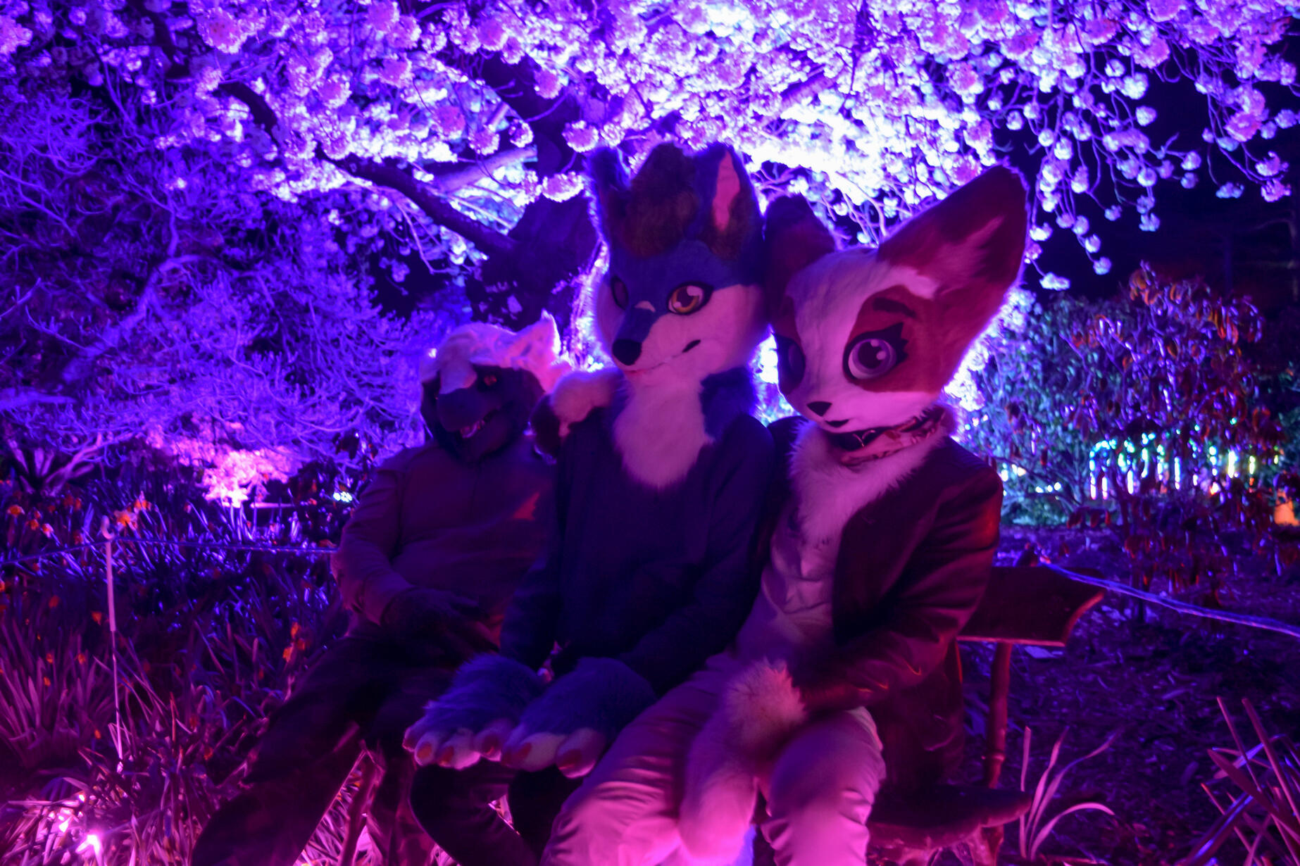 🦊: SawRex, Alex and myself 📸: Rocket. Illumination 2024