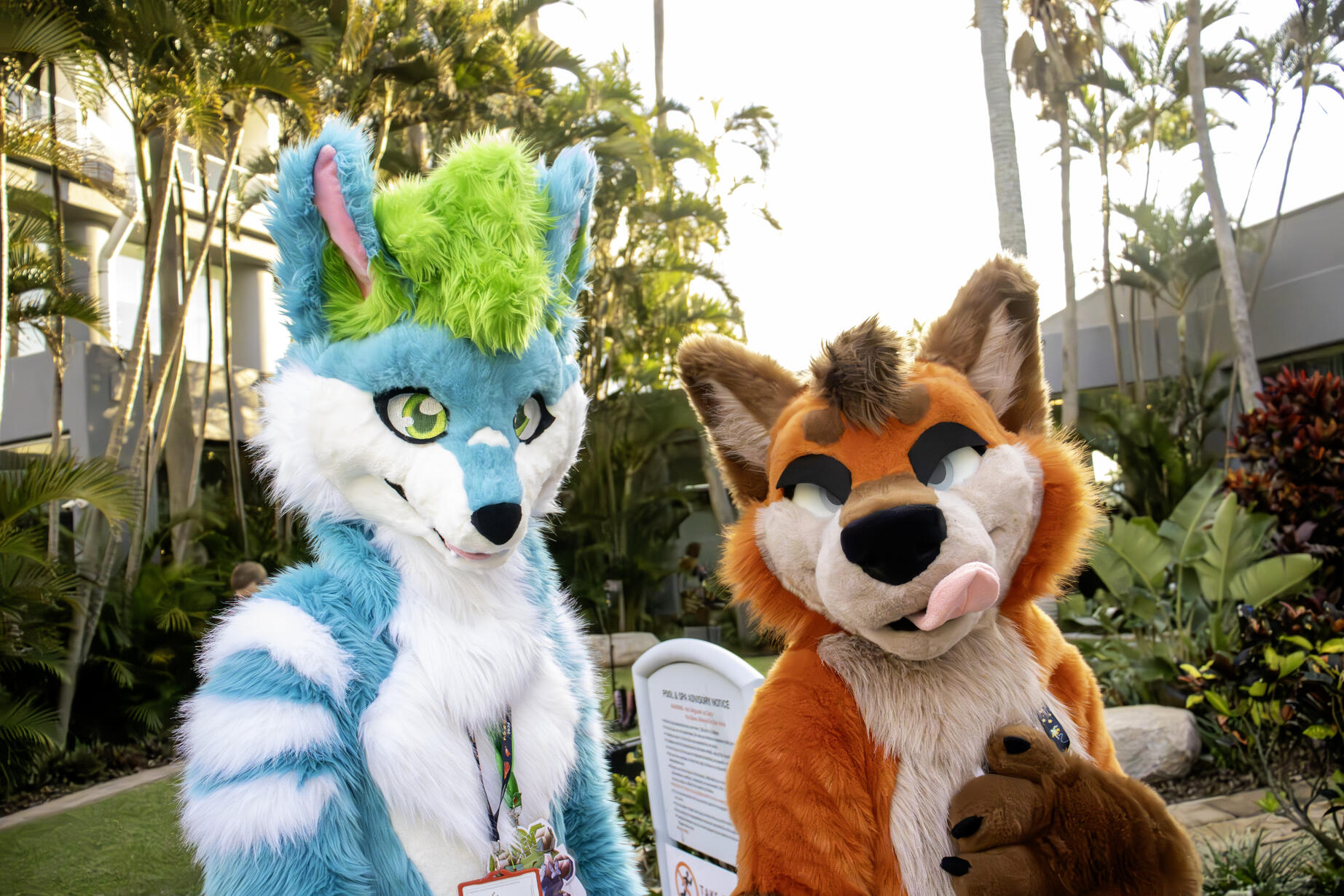 🦊: @oneshot and myself 📸: Sharu