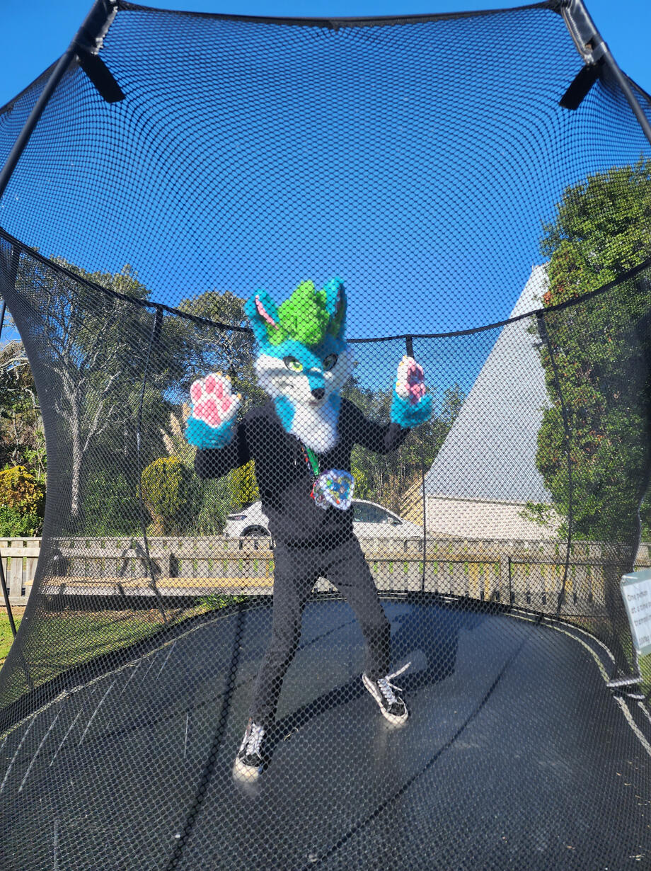 🦊: me! 📸: Fordsy