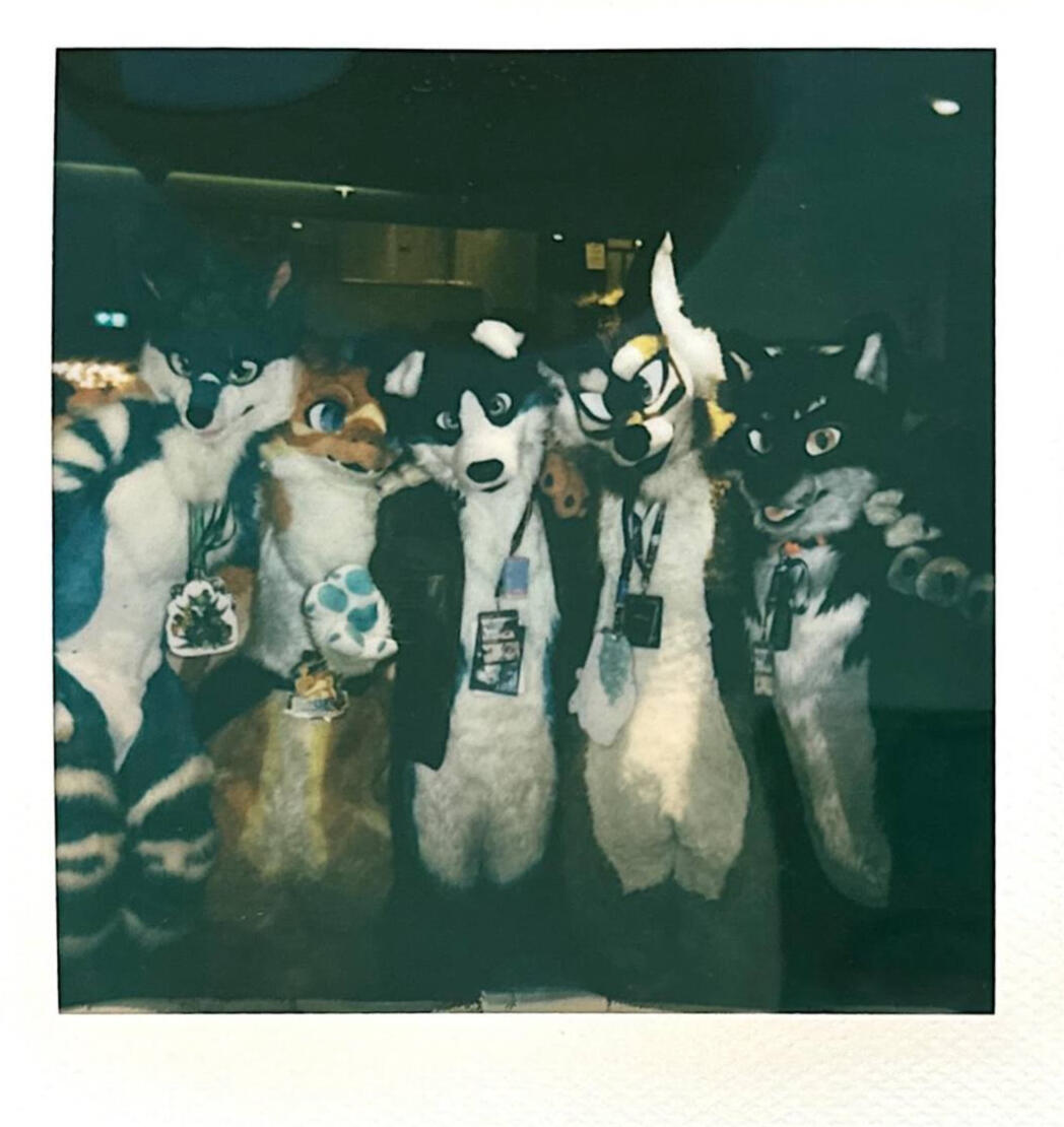Polariod of a bunch of peeps