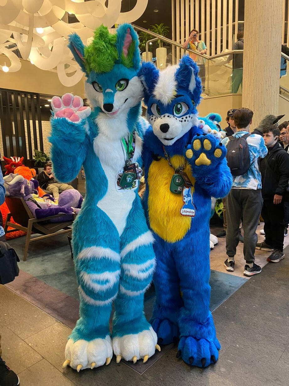 🦊: Locomotion and me 📸: unknown