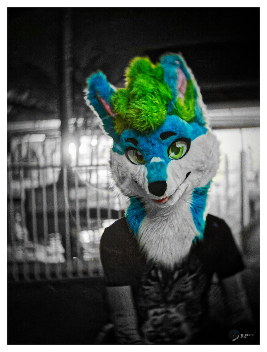 🦊: myself 📸: Steph