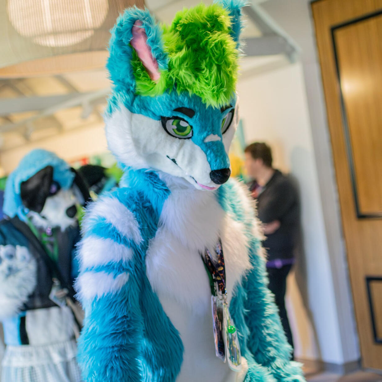 🦊: myself 📸: Baron