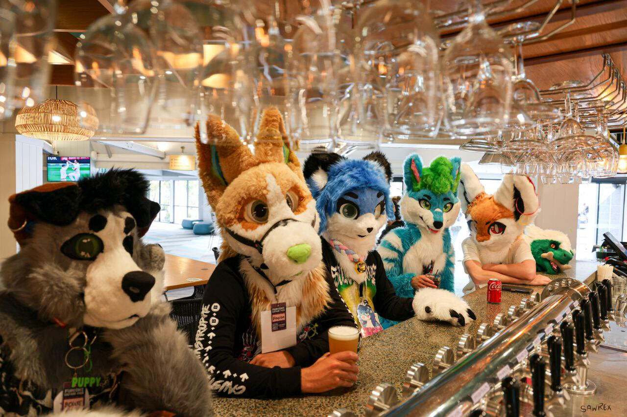 🦊: the Gang 📸: SawRex