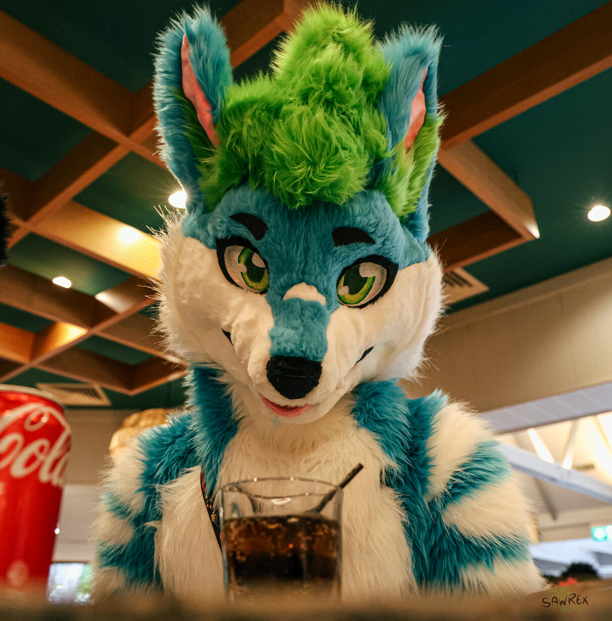 🦊: me 📸: SawRex