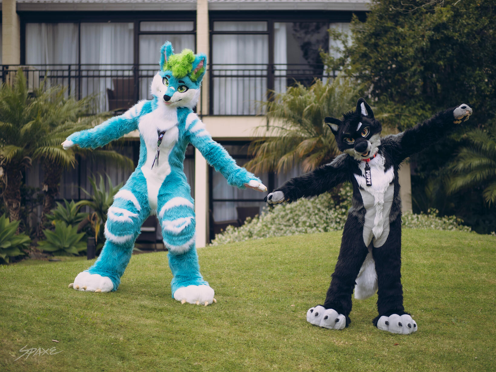 🦊: Zet and myself. 📸: Spaxe